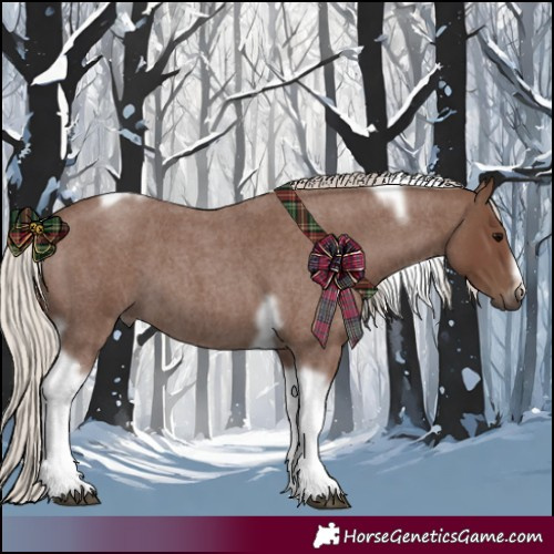 Horse Color:Silver Blue Roan Tobiano Frame 