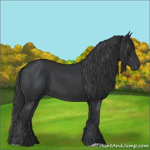 Horse Color:Black 