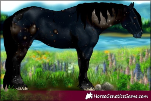 Horse Color:ERROR: UNKNOWN ANOMALY