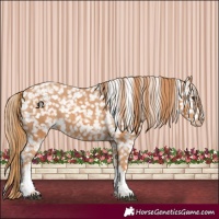 Horse Color:Chestnut Tobiano Snowflake Varnish