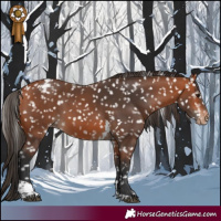 Horse Color:Bay Tobiano Snowcap 