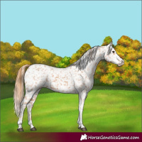 Horse Color:Chestnut Tobiano Snowflake Varnish