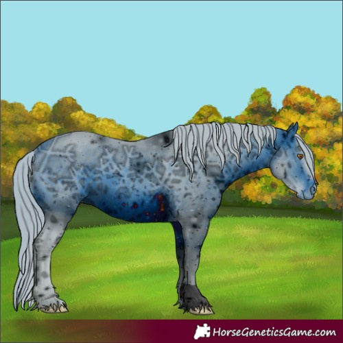 Horse Color:ERROR: UNKNOWN ANOMALY