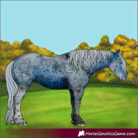 Horse Color:ERROR: UNKNOWN ANOMALY