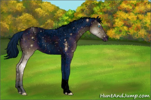 Horse Color:ERROR: UNKNOWN ANOMALY