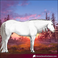Horse Color:Black Tobiano Snowflake Varnish