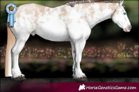 Horse Color:White Spotted Chocolate Black Pearl 