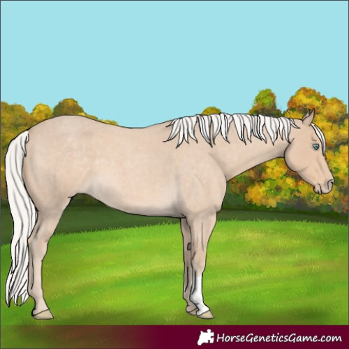 Horse Color:Silver Smoky Creme Roan 