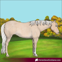 Horse Color:Silver Smoky Creme Roan 