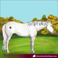 Horse Color:Silver Smoky Creme Roan Frame 