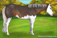 Horse Color:Silver Smoky Blue Roan Splash