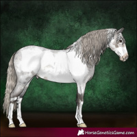 Horse Color:Silver Smoky Blue Roan Frame