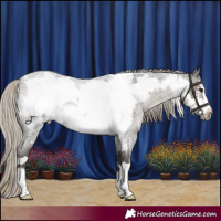 Horse Color:Silver Smoky Blue Roan Frame 