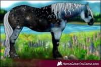 Horse Color:ERROR: UNKNOWN ANOMALY