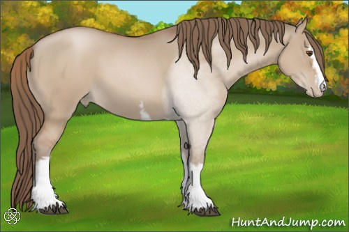 Horse Color:White Spotted Grullo Pearl Sabino 