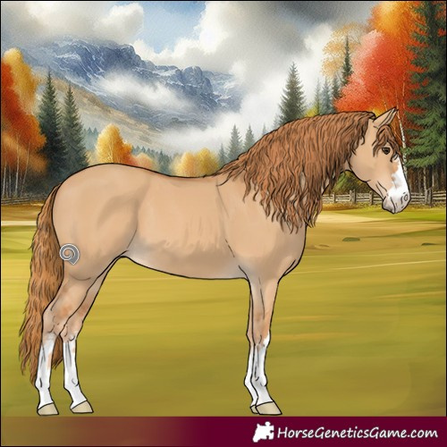 Horse Color:Red Dun 