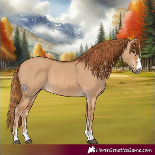 Horse Color:Red Dun 