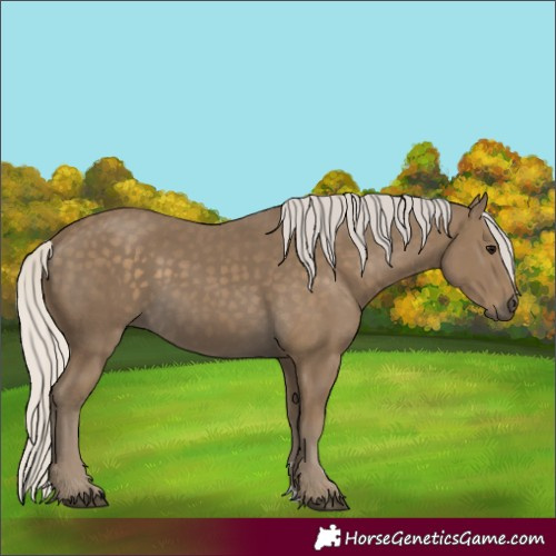 Horse Color:Silver Smoky Black