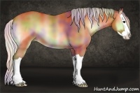 Horse Color:Nacre Silver Bay Onyx Splash 