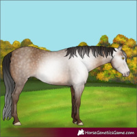 Horse Color:Gray Amber Champagne 