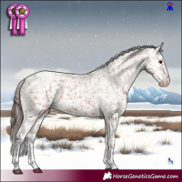 Horse Color:Bay Ice Tobiano Appaloosa