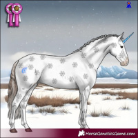 Horse Color:Bay Ice Tobiano Appaloosa 