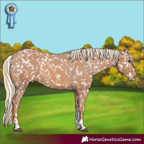 Horse Color:Chestnut Mushroom Tobiano Snowflake Varnish