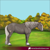 Horse Color:Silver Black 