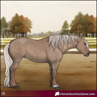 Horse Color:Silver Grullo 