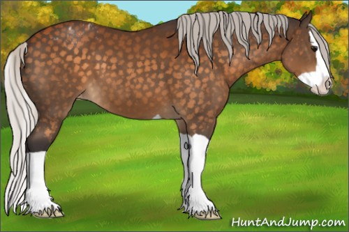 Horse Color:Silver Buckskin Splash Appaloosa 