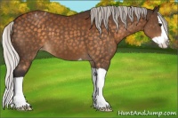 Horse Color:Silver Buckskin Splash Appaloosa 