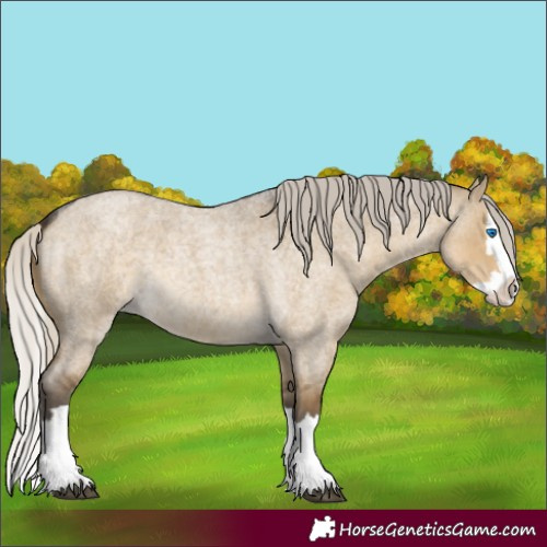 Horse Color:Silver Smoky Grullo Roan Splash 