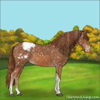 Horse Color:Chestnut Tobiano Snowcap 