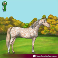 Horse Color:Chestnut Tobiano Snowflake Varnish