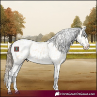Horse Color:Buckskin Tobiano Snowcap 