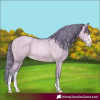 Horse Color:Watercolor Bay Pearl Dun 