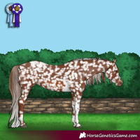 Horse Color:Chestnut Tobiano Snowflake Varnish