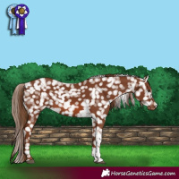 Horse Color:Chestnut Tobiano Snowflake Varnish