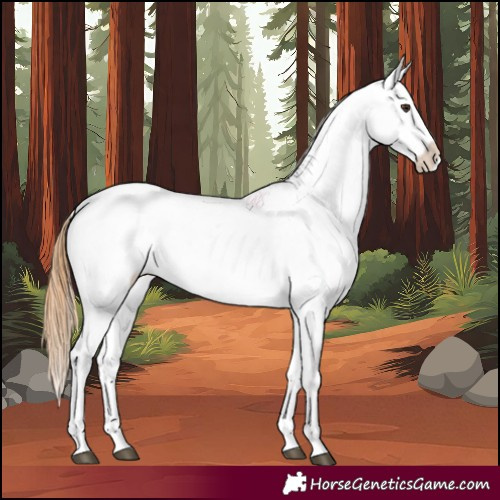 Horse Color:Chestnut Tobiano Snowflake Varnish