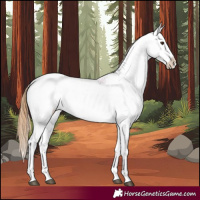 Horse Color:Chestnut Tobiano Snowflake Varnish