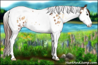 Horse Color:Red Onyx Splash Tobiano Near Leopard 