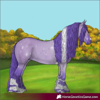 Horse Color:Watercolor Grullo Chinchilla Tobiano 