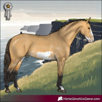 Horse Color:Buckskin Dun Frame