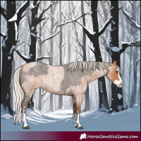 Horse Color:Silver Blue Roan Sabino Splash  and Silver Bay Roan Sabino Splash 