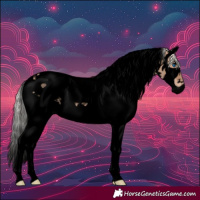 Horse Color:Void Silver Bay Dun Splash Tobiano 