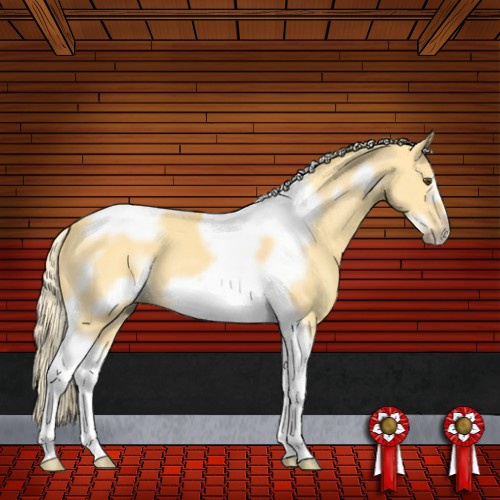 Horse Color:Palomino Dun Tobiano Frame 