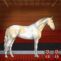 Horse Color:Palomino Dun Tobiano Frame