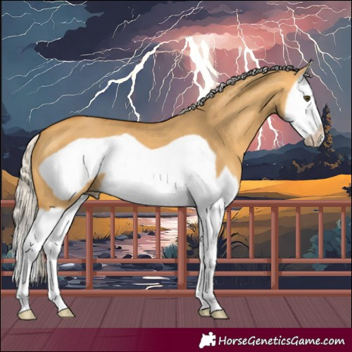 Horse Color:Silver Buckskin Dun Splash Frame