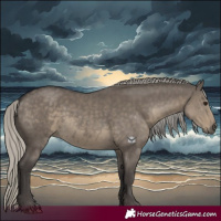 Horse Color:Silver Smoky Grullo Mushroom 
