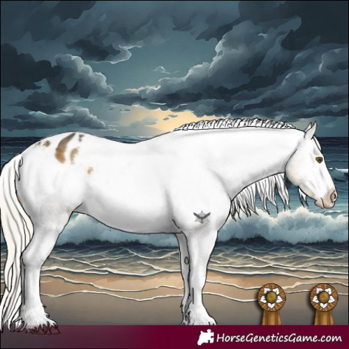 Horse Color:Silver Buckskin Mushroom Tobiano Varnish